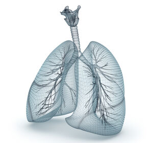 COPD: Verlauf, Lebenserwartung und Lebensqualität verbessern