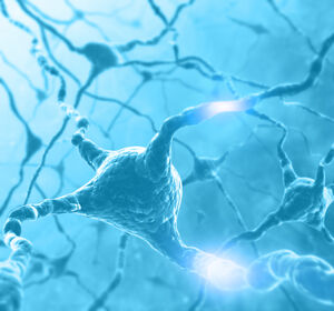 Nanomaterialien als Schalter im Gehirn – präzises Verfahren zur Therapie neurologischer Erkrankungen
