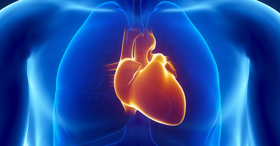 Herzinsuffizienz: VALOR-Studie zu Vericiguat bei pädiatrischer Herzinsuffizienz gestartet