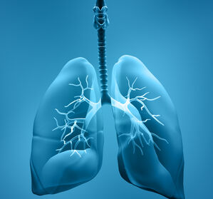 Erster ganzheitlicher Einzelzell-Atlas der menschlichen Lunge