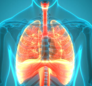 Tuberkulose: Nanopartikel können Antibiotika direkt in die Lunge transportieren