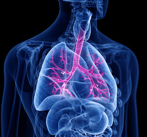 COPD: Bei Exazerbation an Triple-Therapie denken