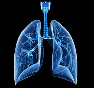 COPD: LAMA/LABA einmal täglich meistens ausreichend