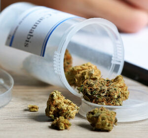 Gutachter sehen Grenzen bei Cannabis-Legalisierung