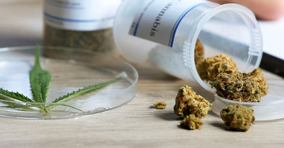 Gutachter sehen Grenzen bei Cannabis-Legalisierung