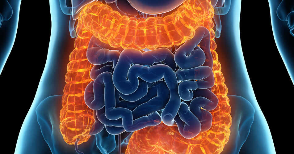 Rasante Entwicklung bei der CED-Therapie: Neue Medikamente für Morbus Crohn und Colitis ulcerosa