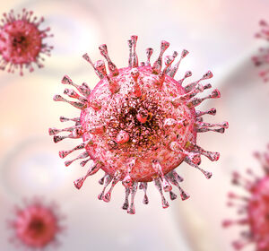 HCMV: Karte zeigt Protein-Interaktionen in Virionen