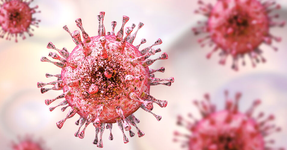 HCMV: Karte zeigt Protein-Interaktionen in Virionen