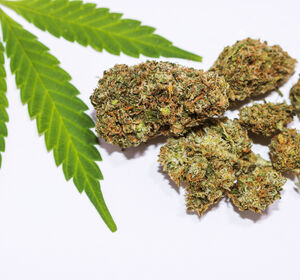 Lauterbach verteidigt Cannabis-Freigabe mit Beschränkungen