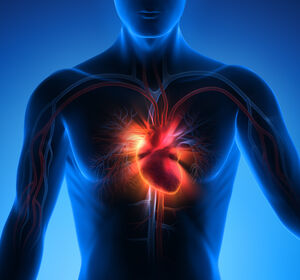 Beeinflussbare Risikofaktoren verantwortlich für die Hälfte der kardiovaskulären Erkrankungen