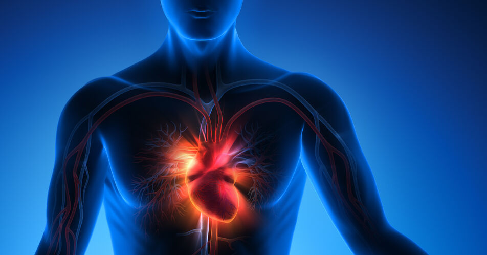 Beeinflussbare Risikofaktoren verantwortlich für die Hälfte der kardiovaskulären Erkrankungen