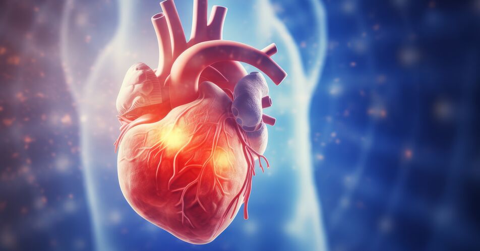 MOONRAKER-Programm untersucht Finerenon bei Herzinsuffizienz