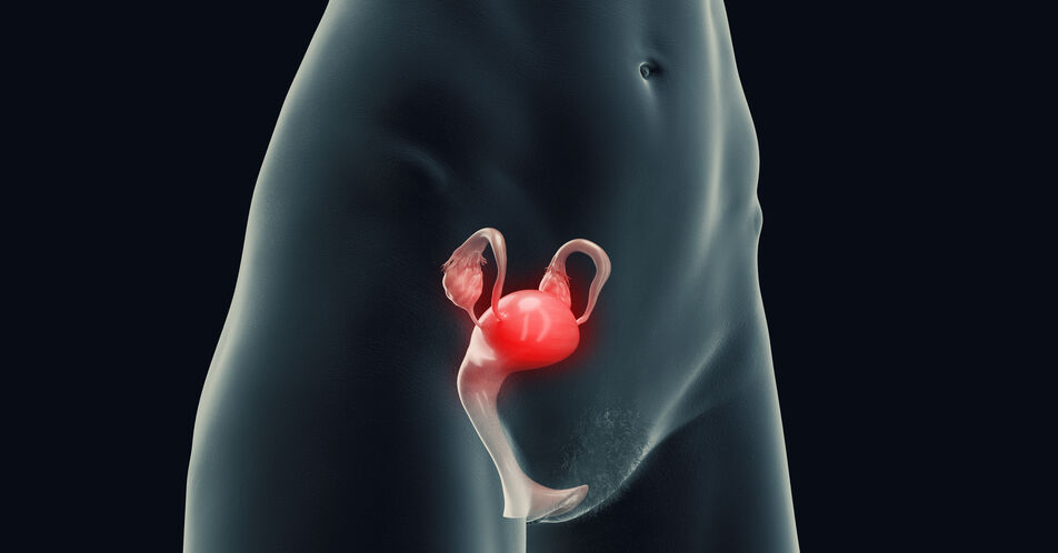 Endometriose: Positive CHMP-Stellungnahme für Relugolix/Estradiol/Norethisteronacetat