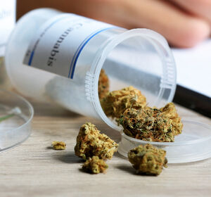 Bundesrat meldet Kritikpunkte bei Cannabis-Legalisierung an