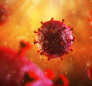 HIV: Schutz durch Antikörper