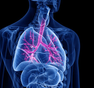 Nach COPD-Exazerbation steigt das kardiovaskuläre Risiko