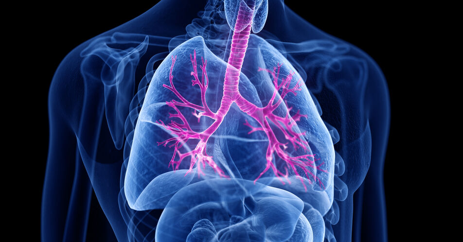 Nach COPD-Exazerbation steigt das kardiovaskuläre Risiko
