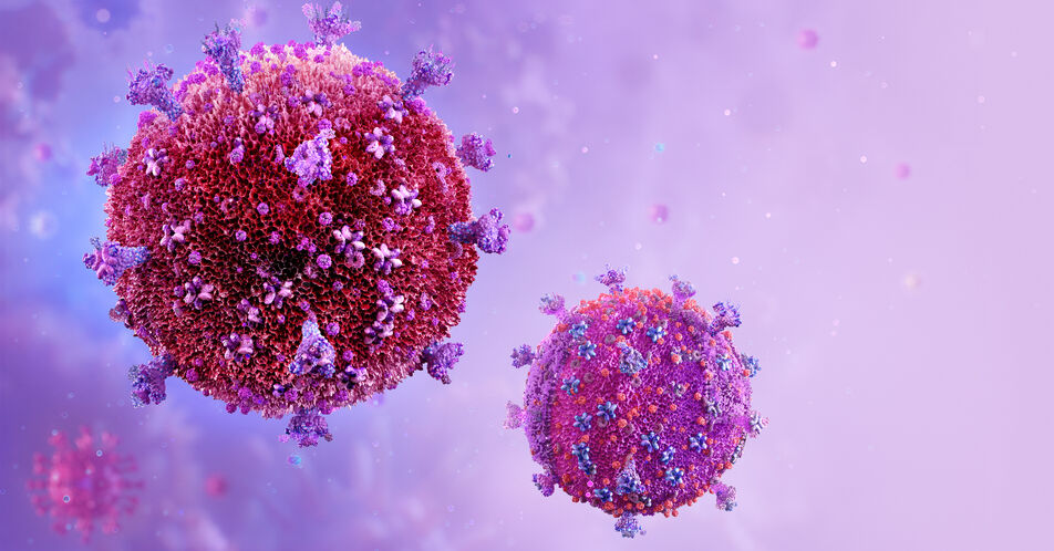 Langlebigkeit von HIV-neutralisierenden Antikörpern erforscht – Wichtiger Schritt in Richtung Impfstoff