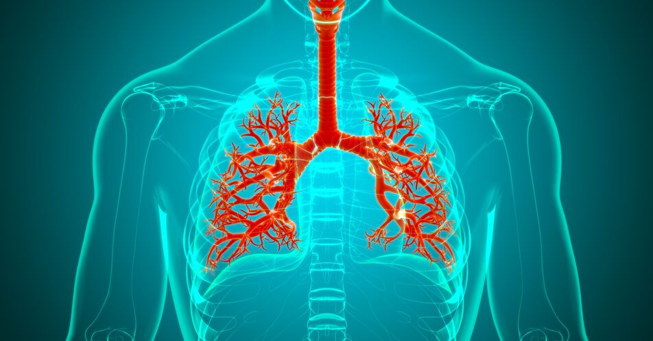 COPD und kardiale Komorbidität: Das unheilvolle Duo