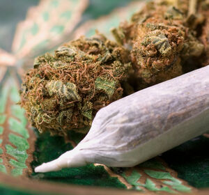 Cannabis: Legalisierung erst ab April 2024