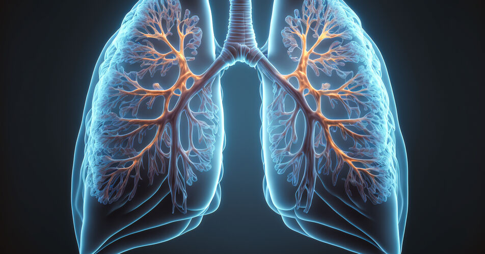 COPD und Komorbiditäten: Einfluss von Alter und Geschlecht