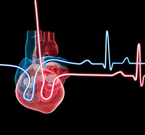 Patientennahe NT-proBNP-Testung als zuverlässiges Warnsystem für die Herzinsuffizienz