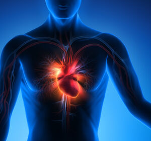 Schlüsselakteur bei viralen Herzmuskelentzündungen gefunden