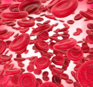 Blutverlust: Transfusion direkt am Unfallort