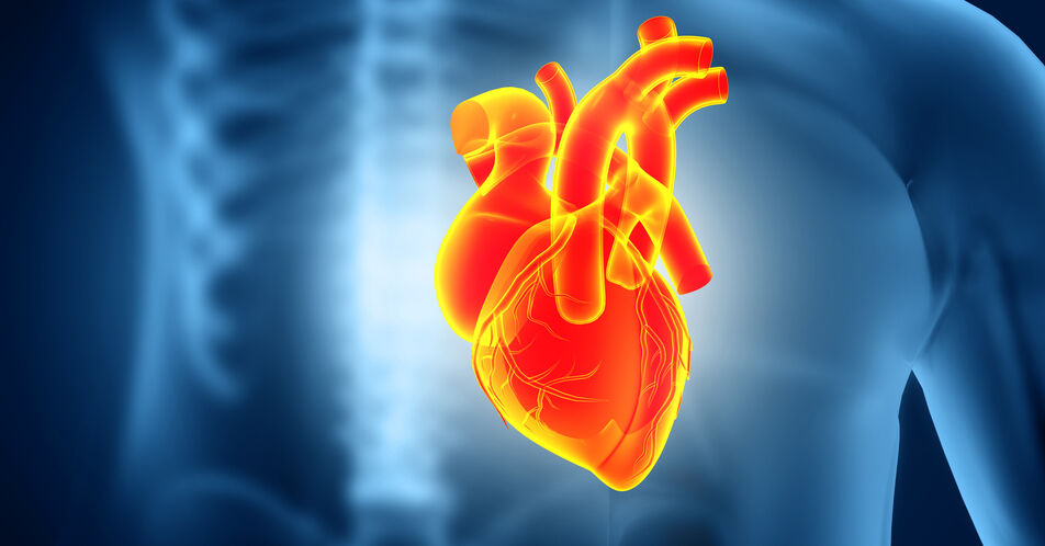 OptAHF: Bessere medizinische Versorgung von Patient:innen mit angeborenem Herzfehler