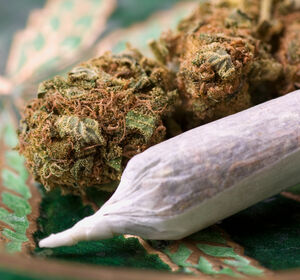 Geplante Cannabis-Freigabe nimmt weitere Hürde