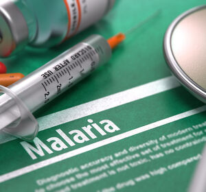Welt-Malaria-Tag am 25. April: Malaria-Prophylaxe ernst nehmen