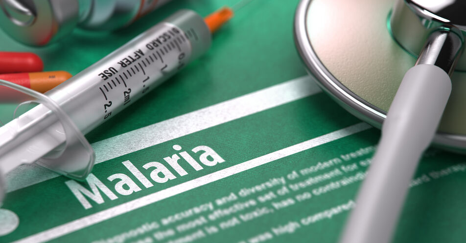 Welt-Malaria-Tag am 25. April: Malaria-Prophylaxe ernst nehmen