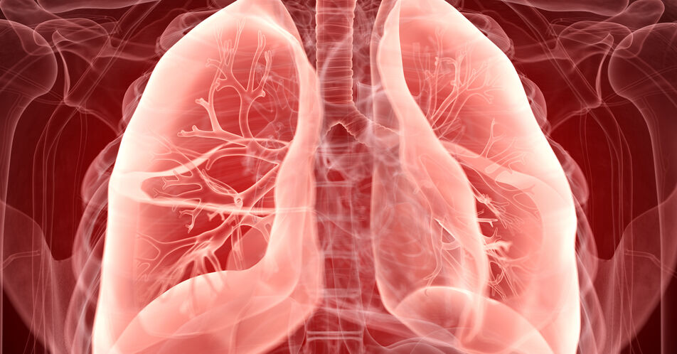 Perspektiven bei der pulmonal arteriellen Hypertonie