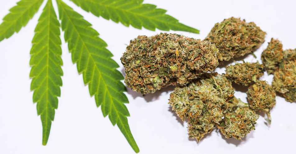 Lauterbach sieht Cannabis aus Tabuzone heraus