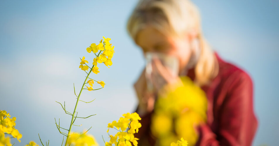 Achtung, Pollen! Zahl der Heuschnupfengeplagten steigt