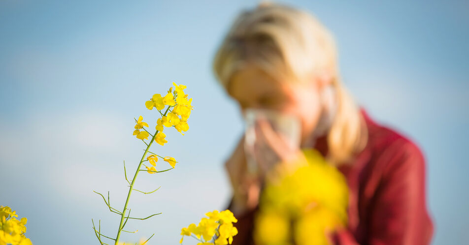 Nun fliegen sie wieder – Tipps für Allergiker:innen in der Pollensaison