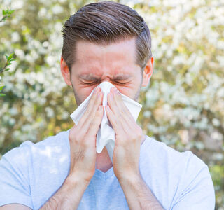 Frühling ist Heuschnupfenzeit – Informationen für Allergiker:innen