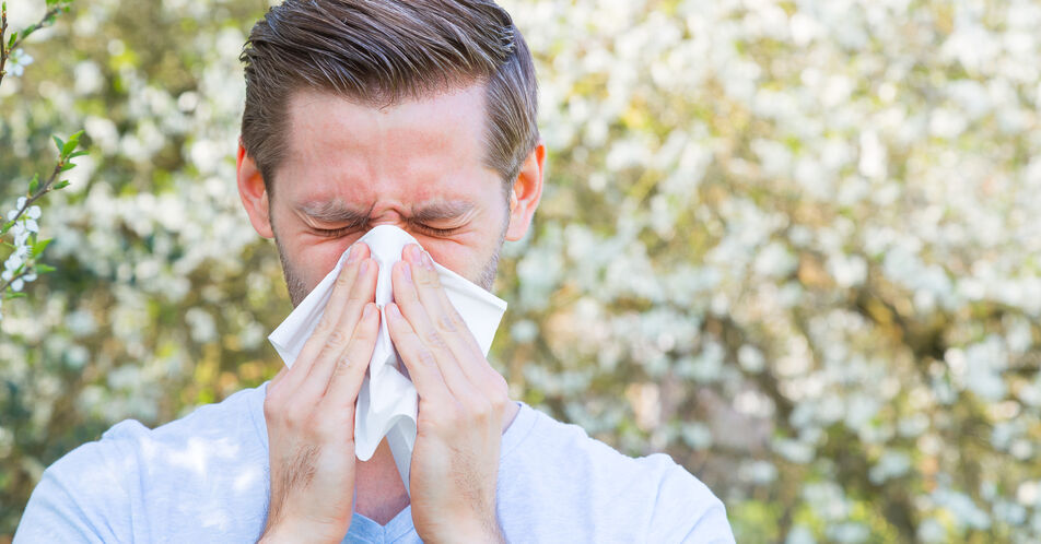 Frühling ist Heuschnupfenzeit – Informationen für Allergiker:innen